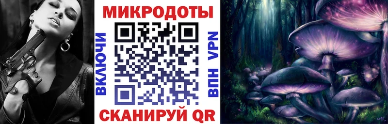 Галлюциногенные грибы Psilocybine cubensis  мега как зайти  Оса 